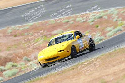 media/May-06-2023-Lucky Dog Racing (Sat) [[8f2256f436]]/Turn 2 10a/